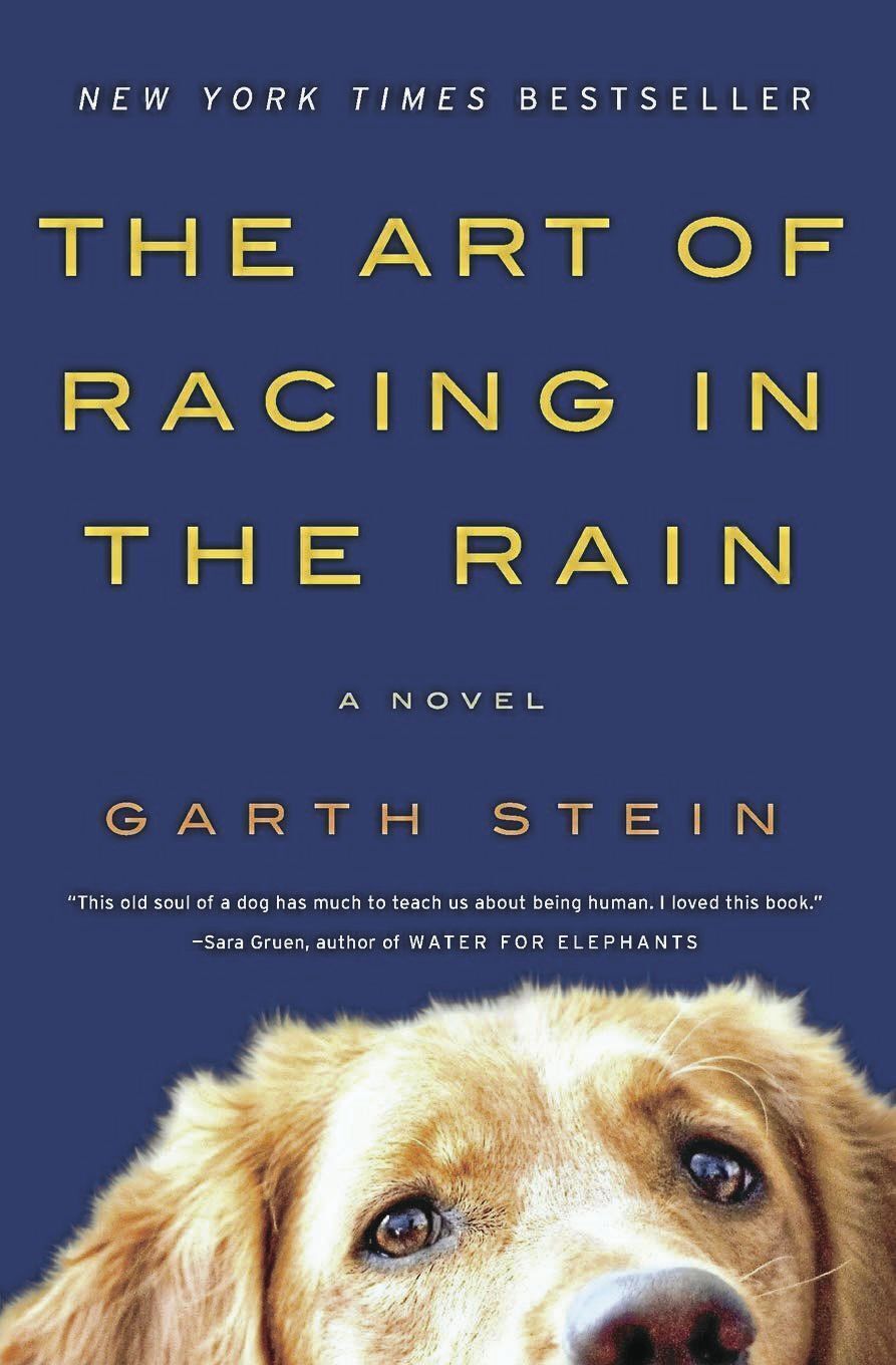 _RacingInTheRain_CMYK.jpg